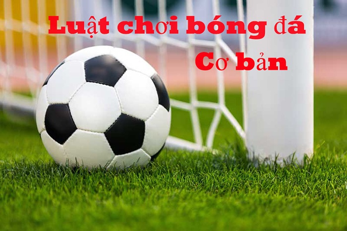 luật bóng đá 11 người mới nhất